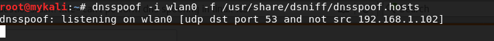 image from terminal