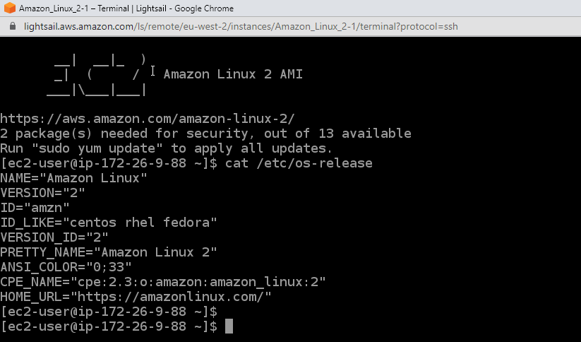 Amazon 2 instead of CentOS