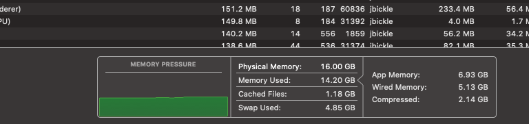 Activity monitor memory use: 14.20 gb