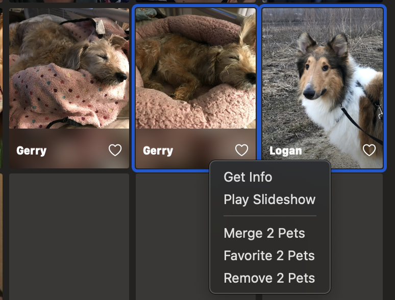 In this screenshot, I've selected one of the pets from the previous example along with a totally different pet and here when I right click I do see the option to merge these pets.