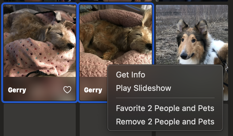 In this screenshot, I've selected two of the pets that are the same, I right clicked and do not see an option to merge these pets.