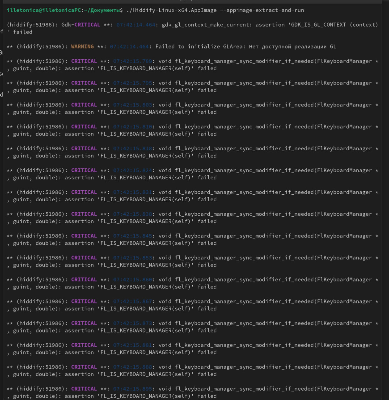 run AppImage via ./ and parametre