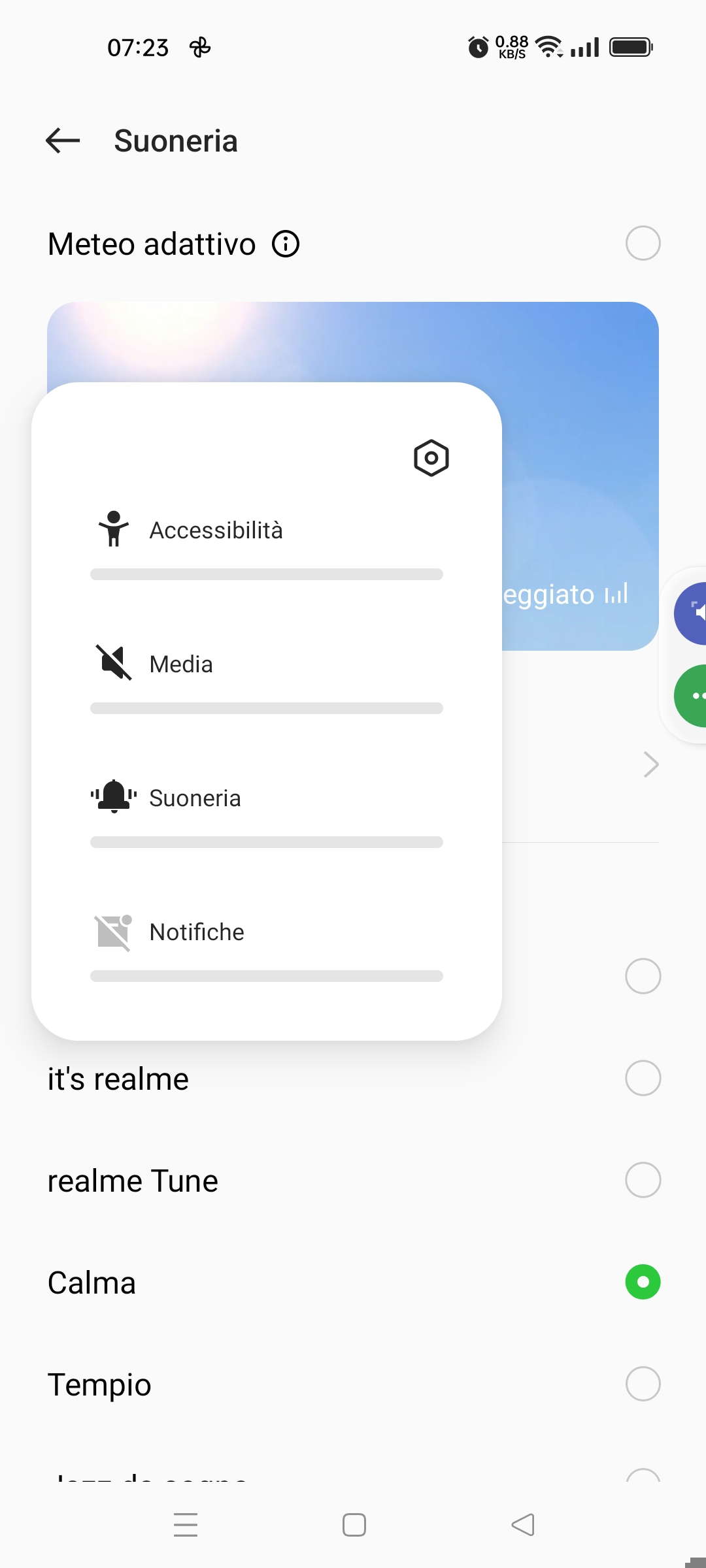 ringtones page with volume turned off globally