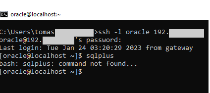 output after run comand 'sqlplus'