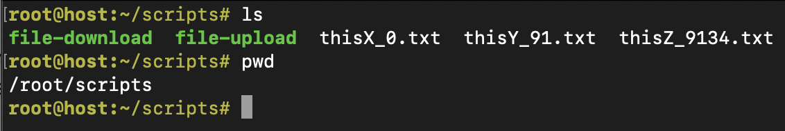 Local host files