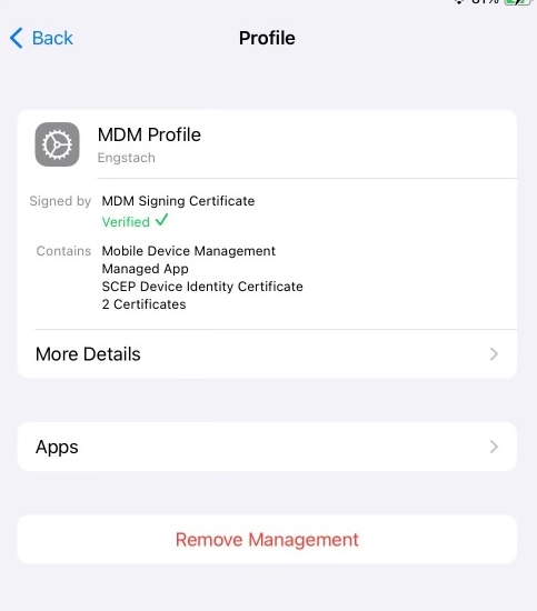 screenshot of MDM profile installed on iPad