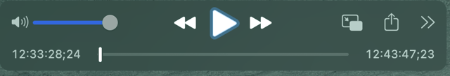 screenshot of the quicktime player control bar