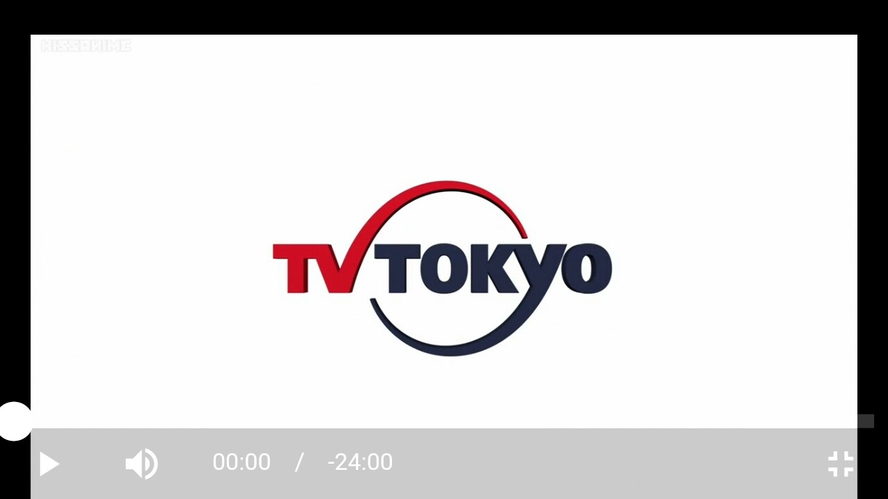 Doesn't fit Screen