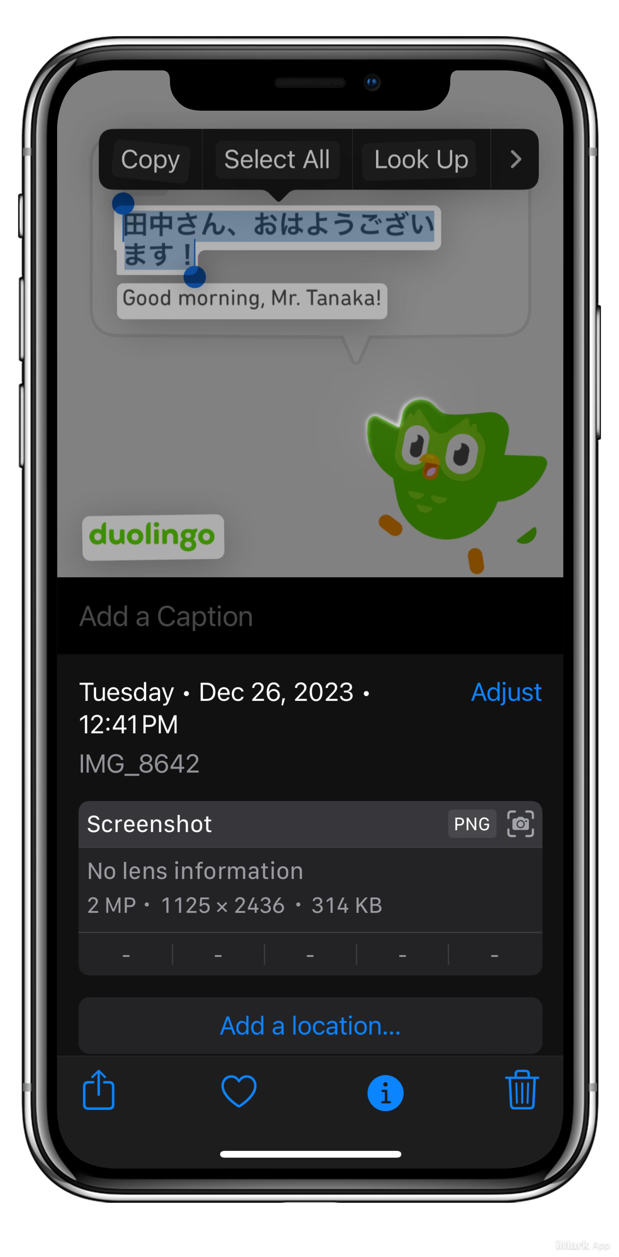 an image from the iOS (17) Photos app, showing a screenshot from the Duolingo app along with some selected Live Text