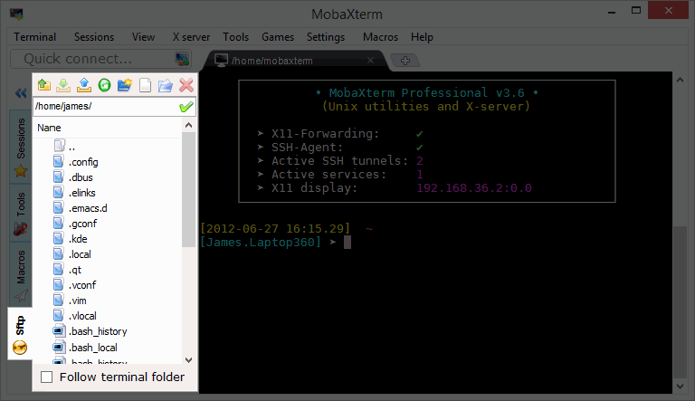 MobaXTerm view