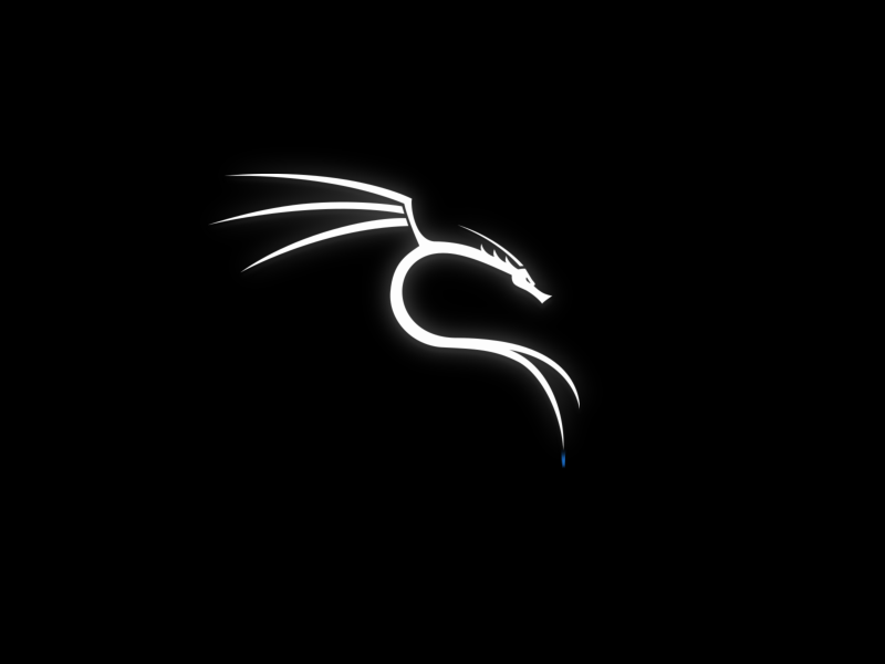 the Dragon logo