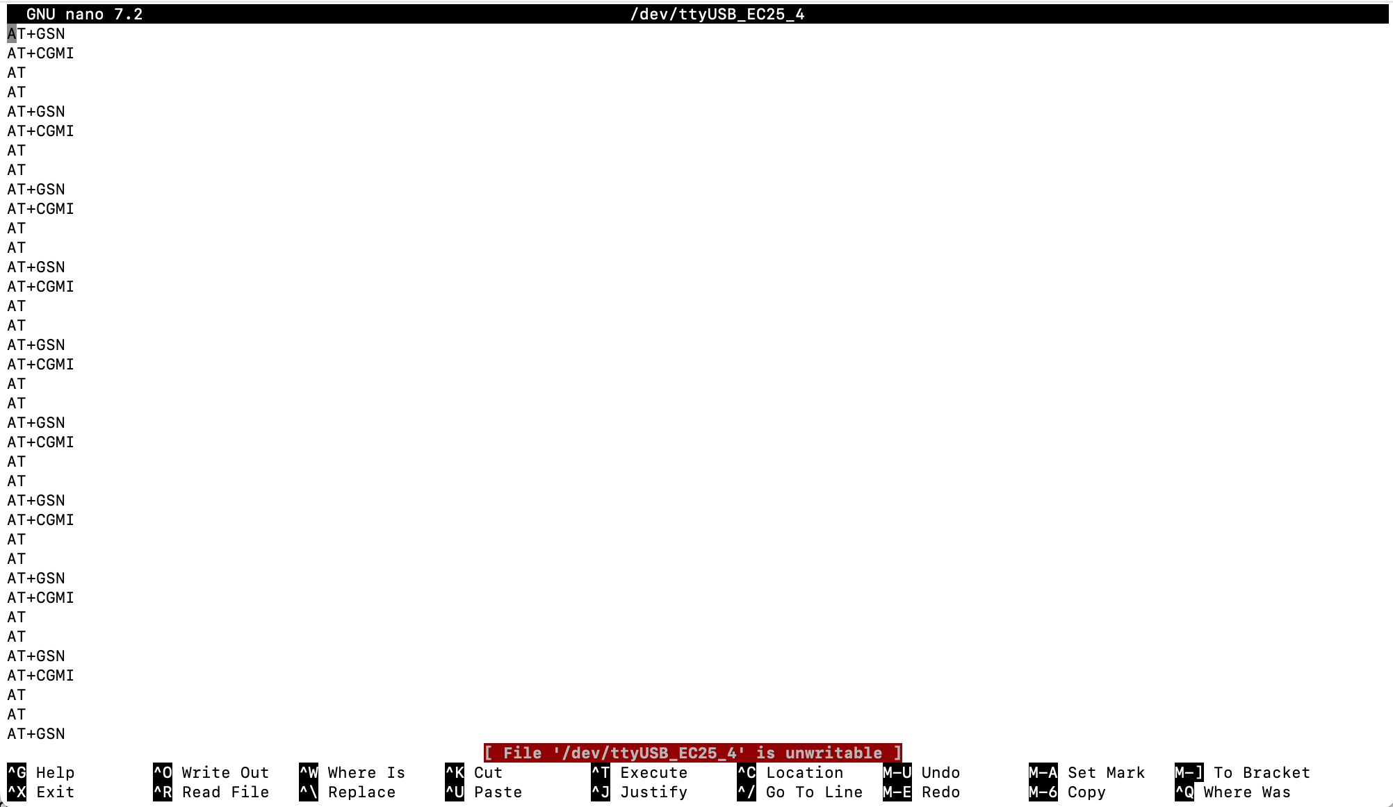 Screenshot showing the file contents