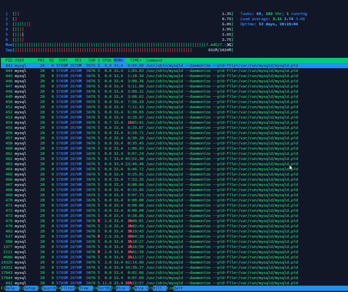 htop output