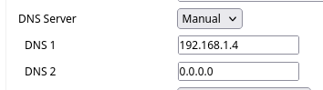 Router settings: DNS server 