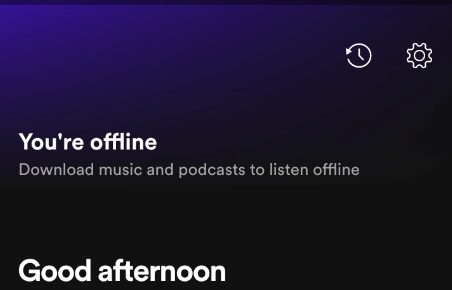You're Offline-Spotify