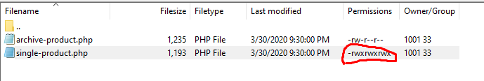File permission