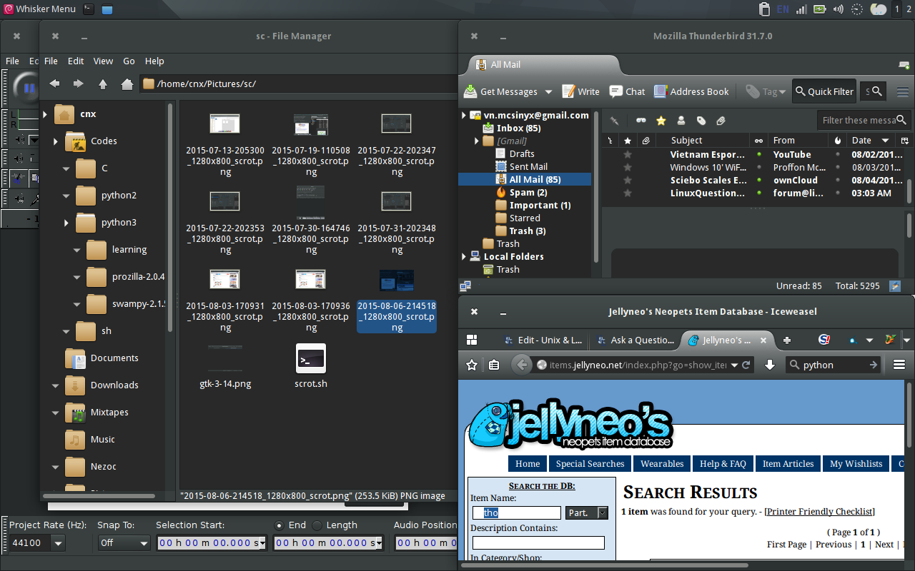 Audacity, Icedove and Iceweasel using Gtk+ 2 dark theme