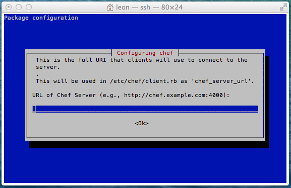apt install chef prompt