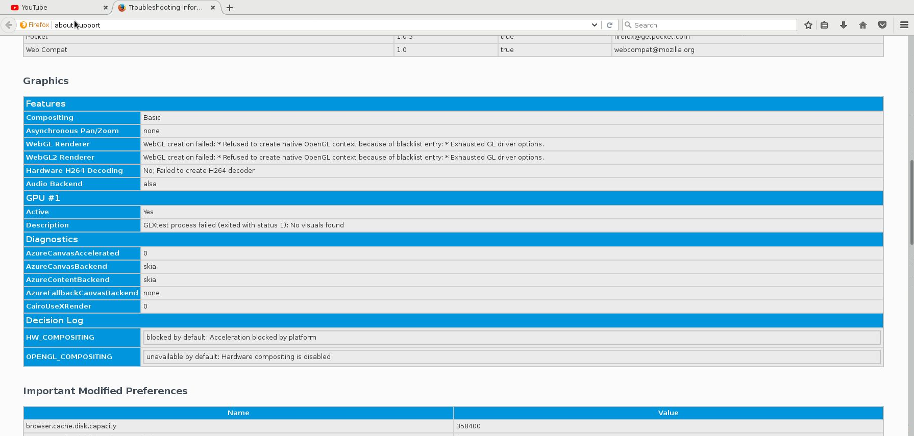 The Output of the about:support-Site