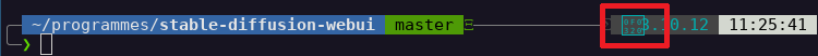 Prompt with character display bug