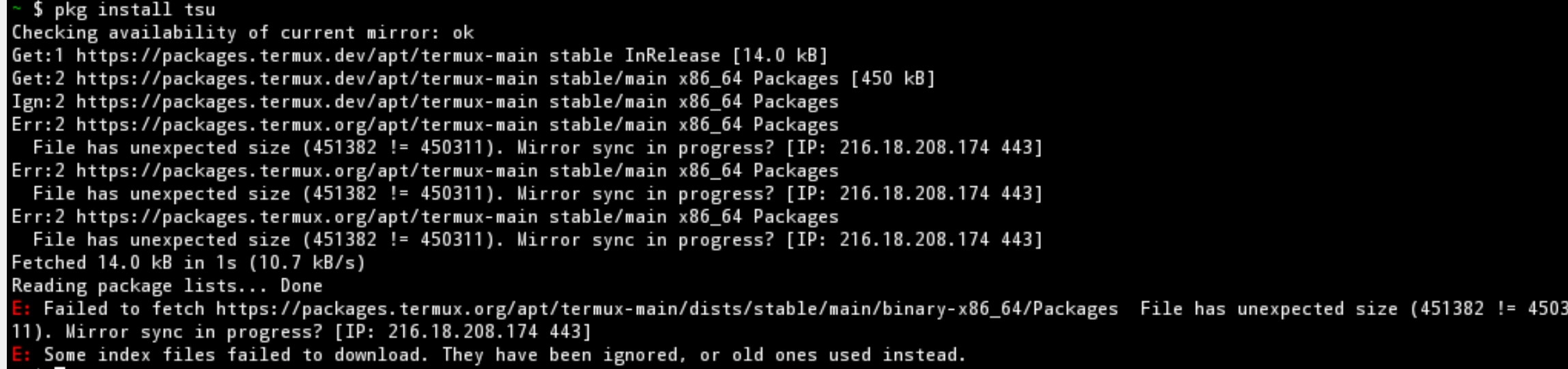 Screenshot of terminal output