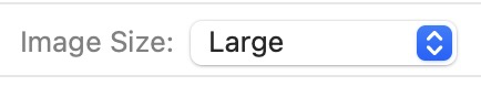 image size large