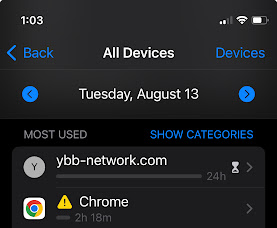 screenshot of screen time showing ybb-network used 24 hours per day