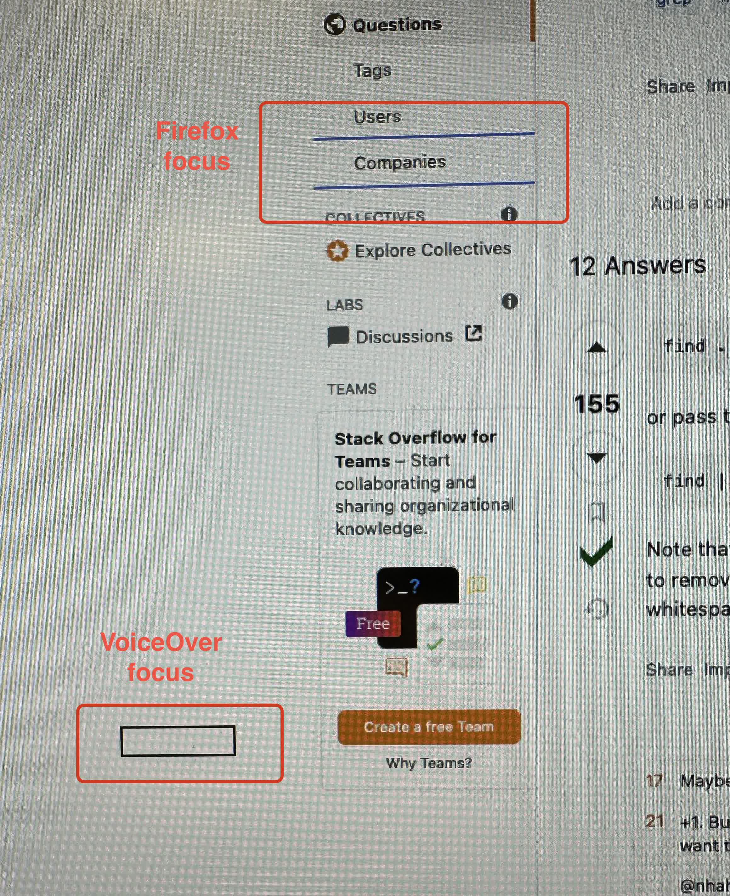 showing the misalignment of VoiceOver focus and Firefox focus