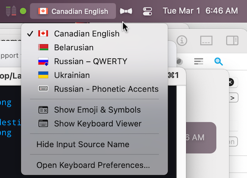 Language input menu