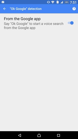 Screenshot. showing just one option