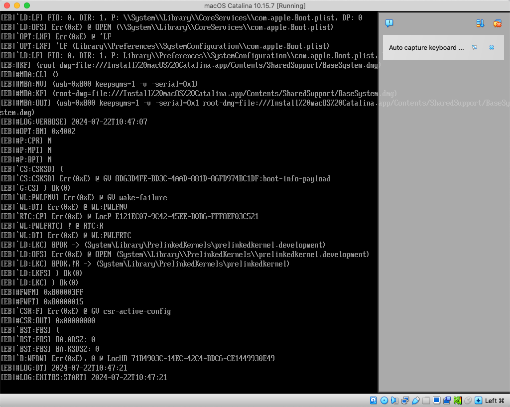 Installing Catalina in a new VirtualBox virtual machine