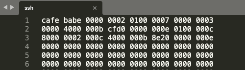 Apple SSH binary 'cafe babe'