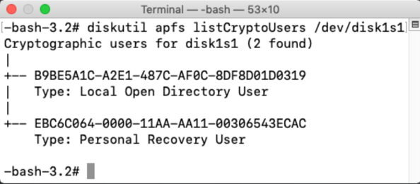 Terminal output