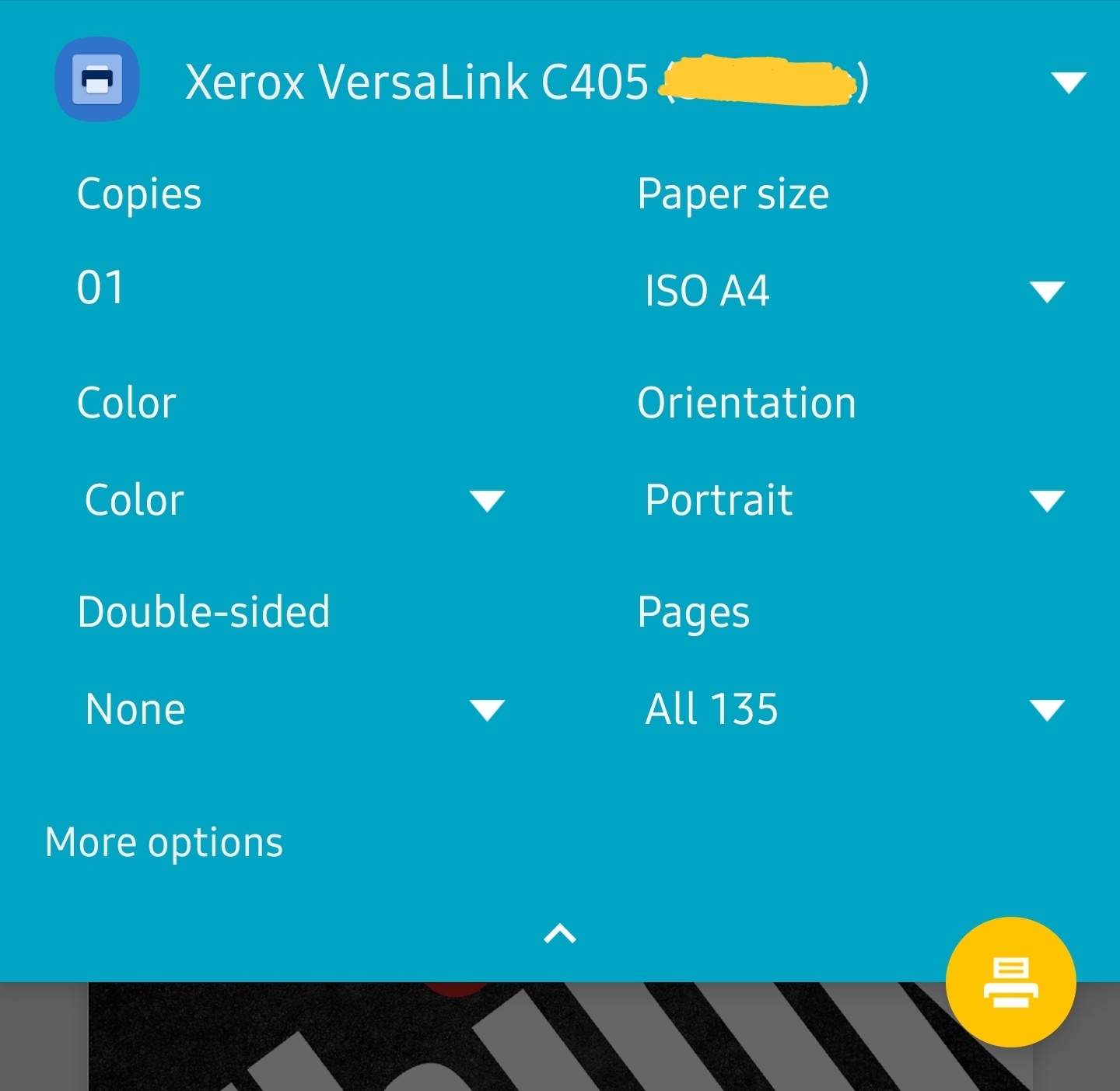 Print settings dialog