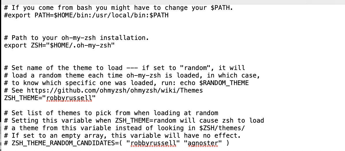 top of .zshrc file