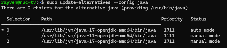 Java Selection