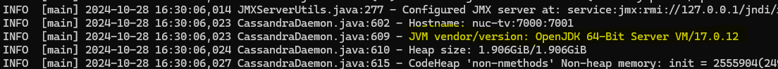 Cassandra log