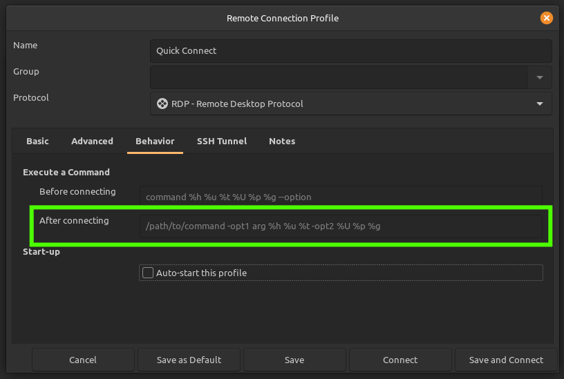 Remmina connection settings