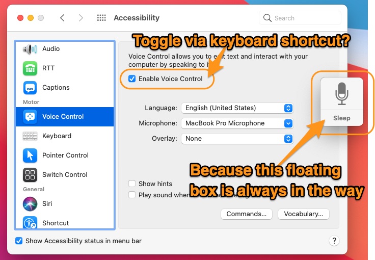 voice control