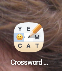 App icon