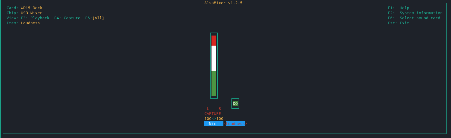 Alsamixer screenshot