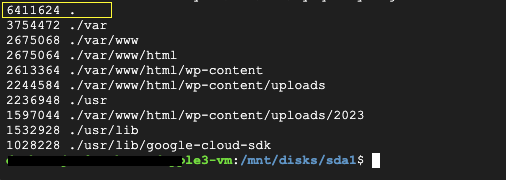 after mounting /SDA1/, only seeing 6.4gb in use