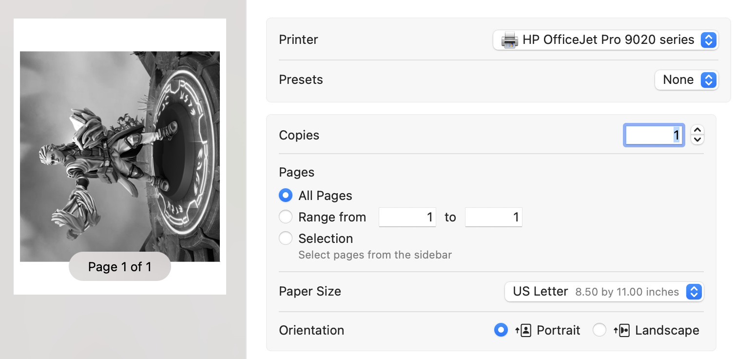 screenshot of print dialog showing the color image in black/white
