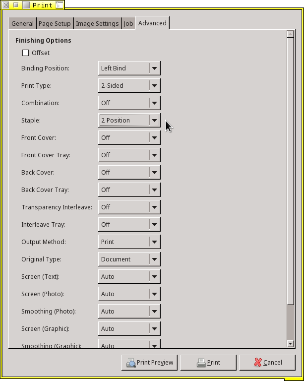 screenshot of required options within a print dialogue