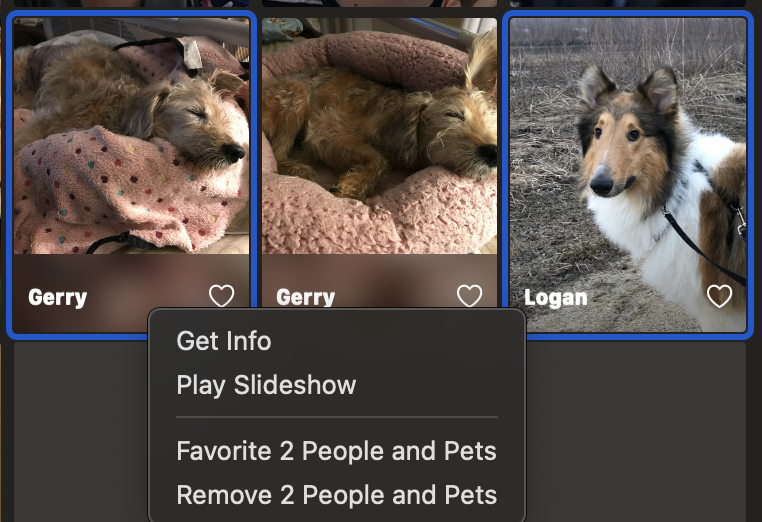 In this screenshot, I've selected the other of the duplicate pets and then the totally different pet and am also missing the merge option.