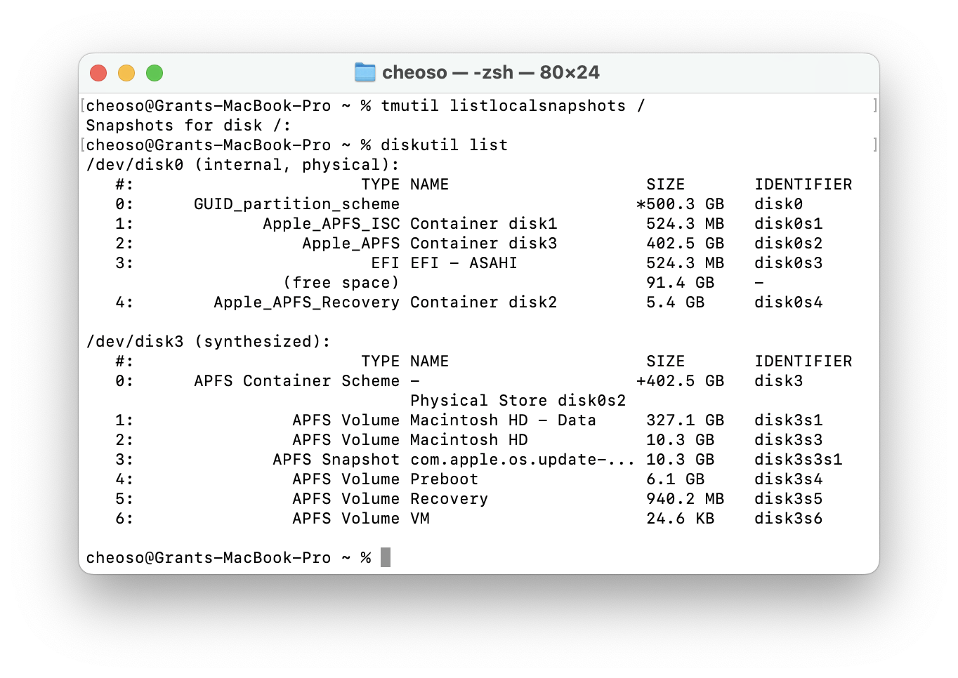 screenshot of GUID partition scheme