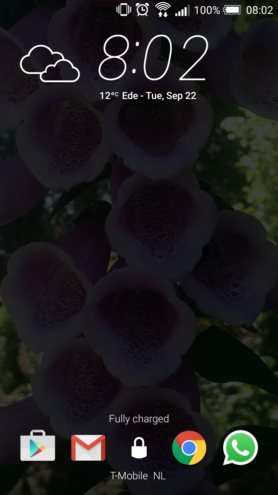 IMG: Default widget