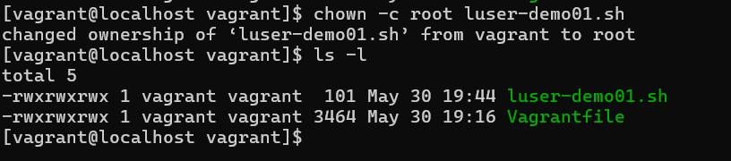 Here as you can see the owner of the file is vagrant not root