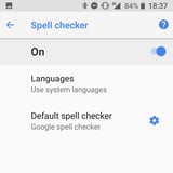 SpellCheck Setting
