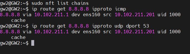 NFtables chains & routes